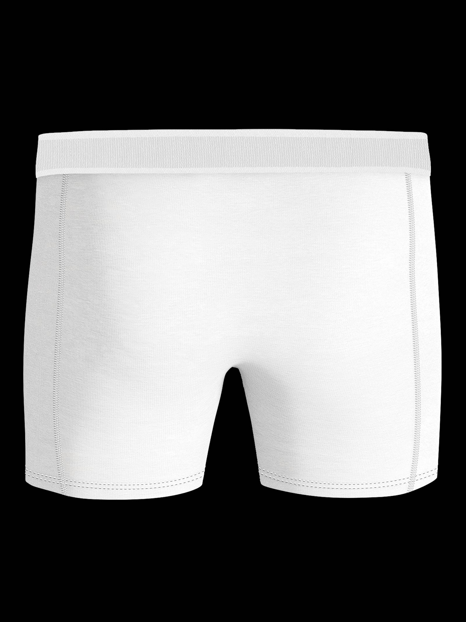 Premium Cotton Stretch Boxer 2-pack image 3