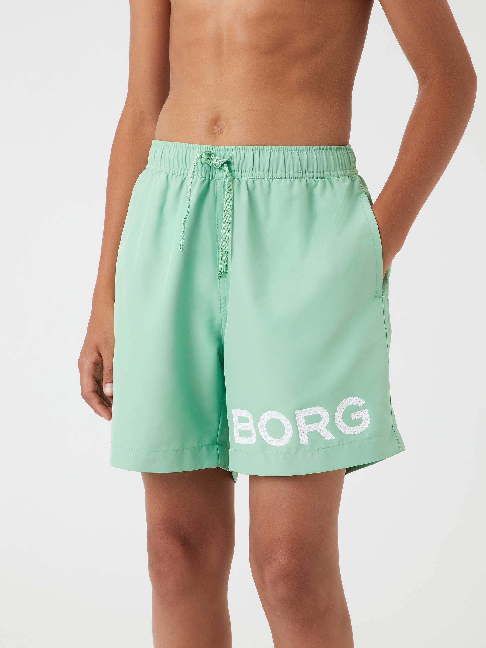 Borg Swim Shorts image 2