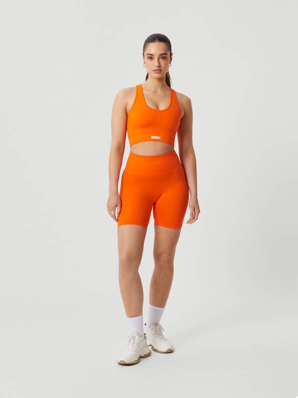 Borg Seamless Rib Shorts