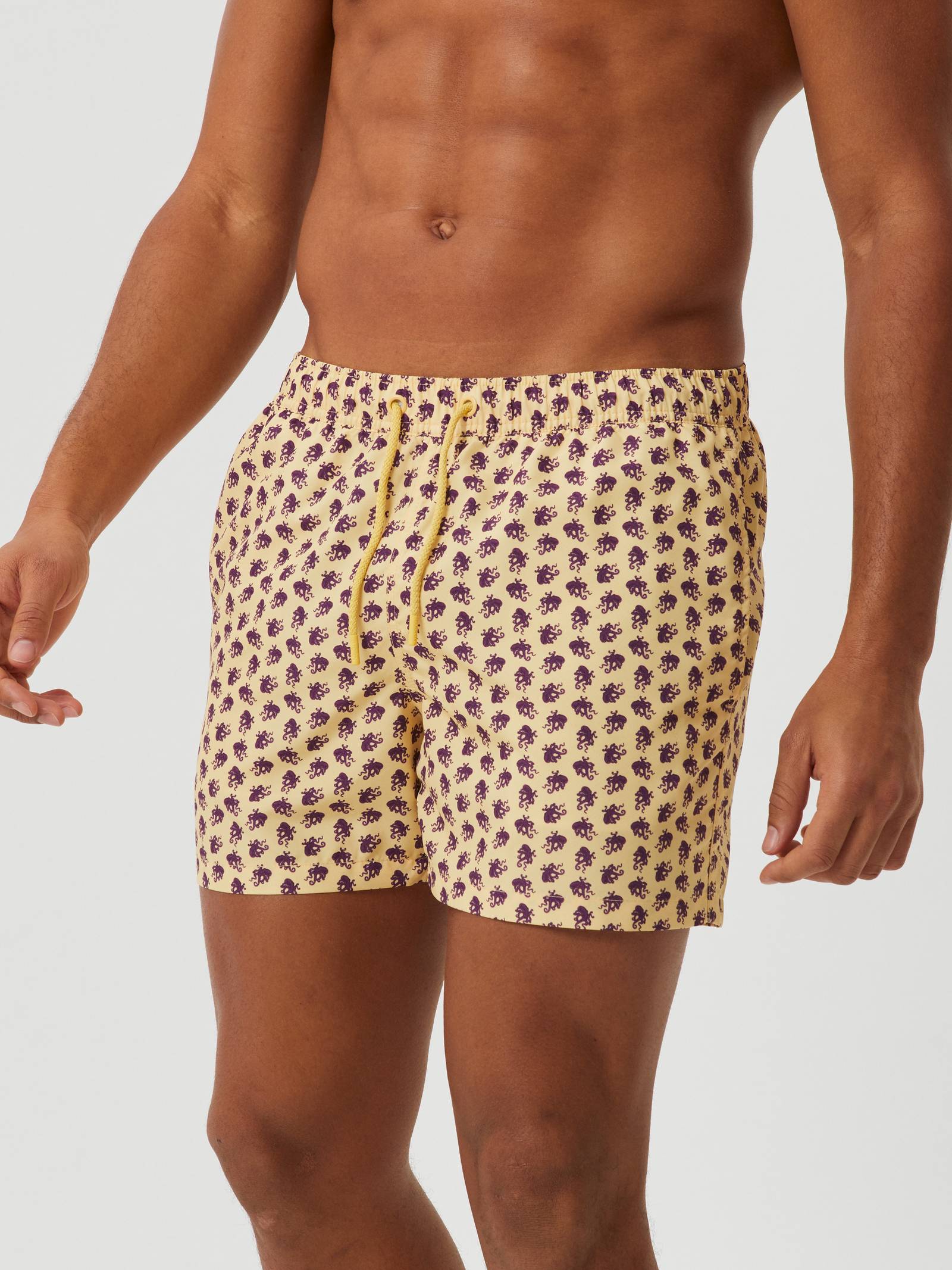 Borg Print Swim Shorts image 2