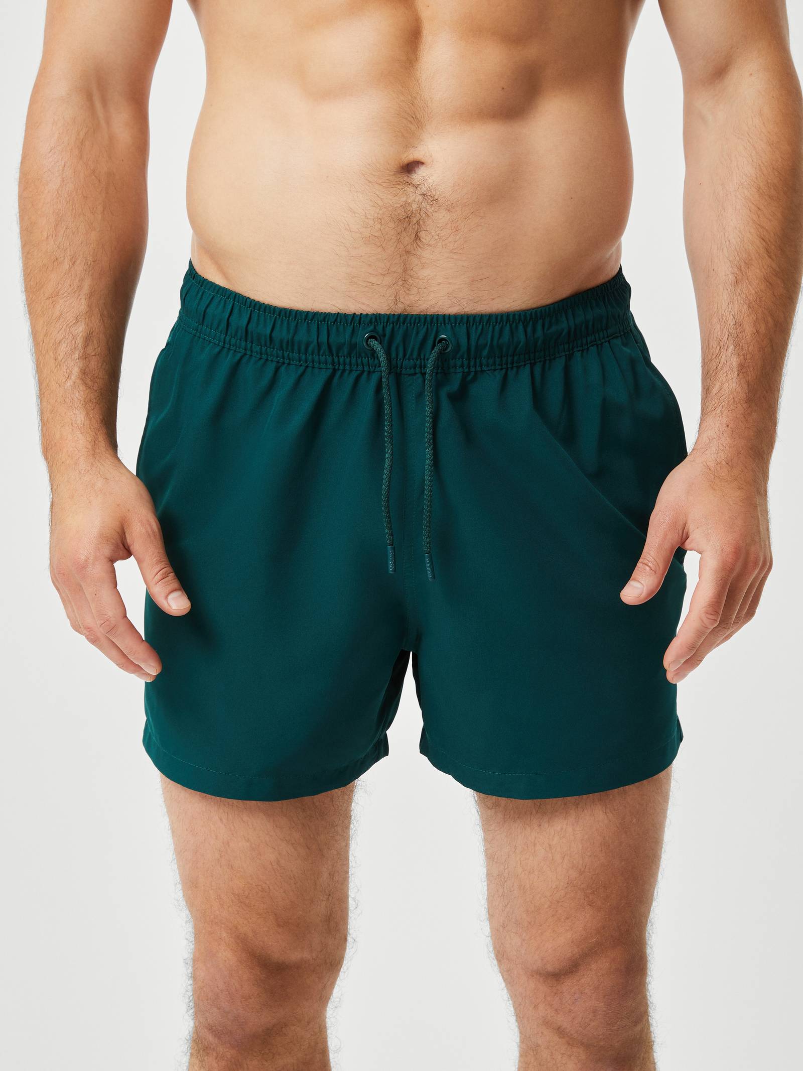 Borg Solid Swim Shorts image 2
