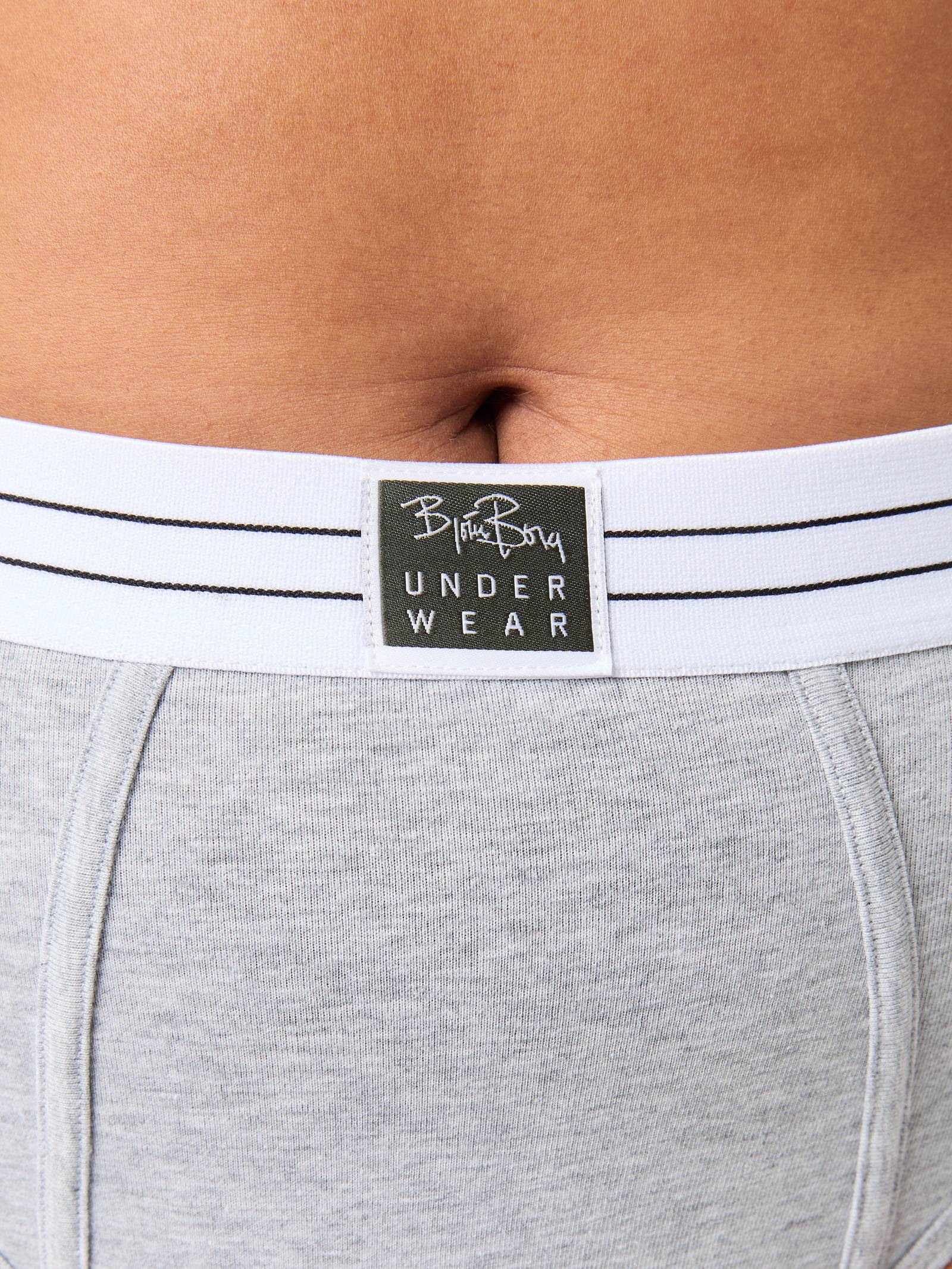 Core Original High Waist Brief 2-pack image 8