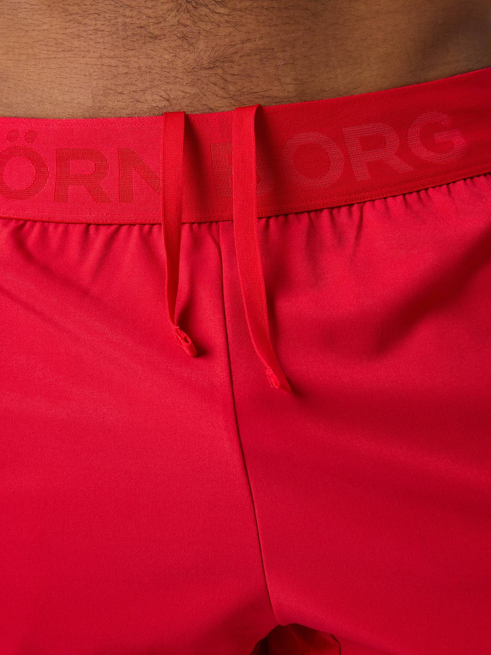 Borg Shorts 6 Inch image 6