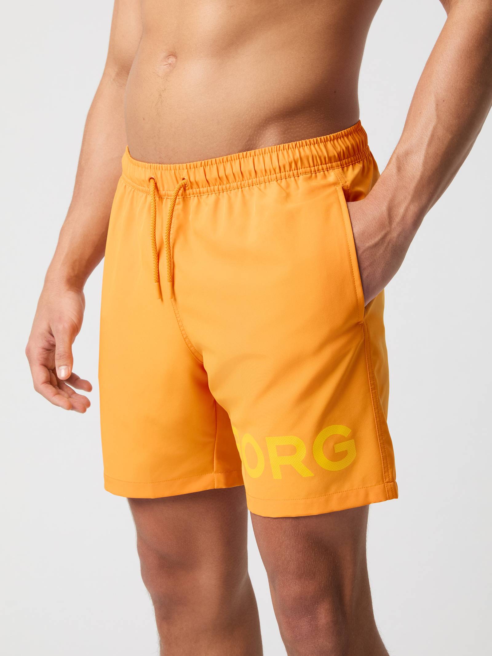 Borg Swim Shorts image 1