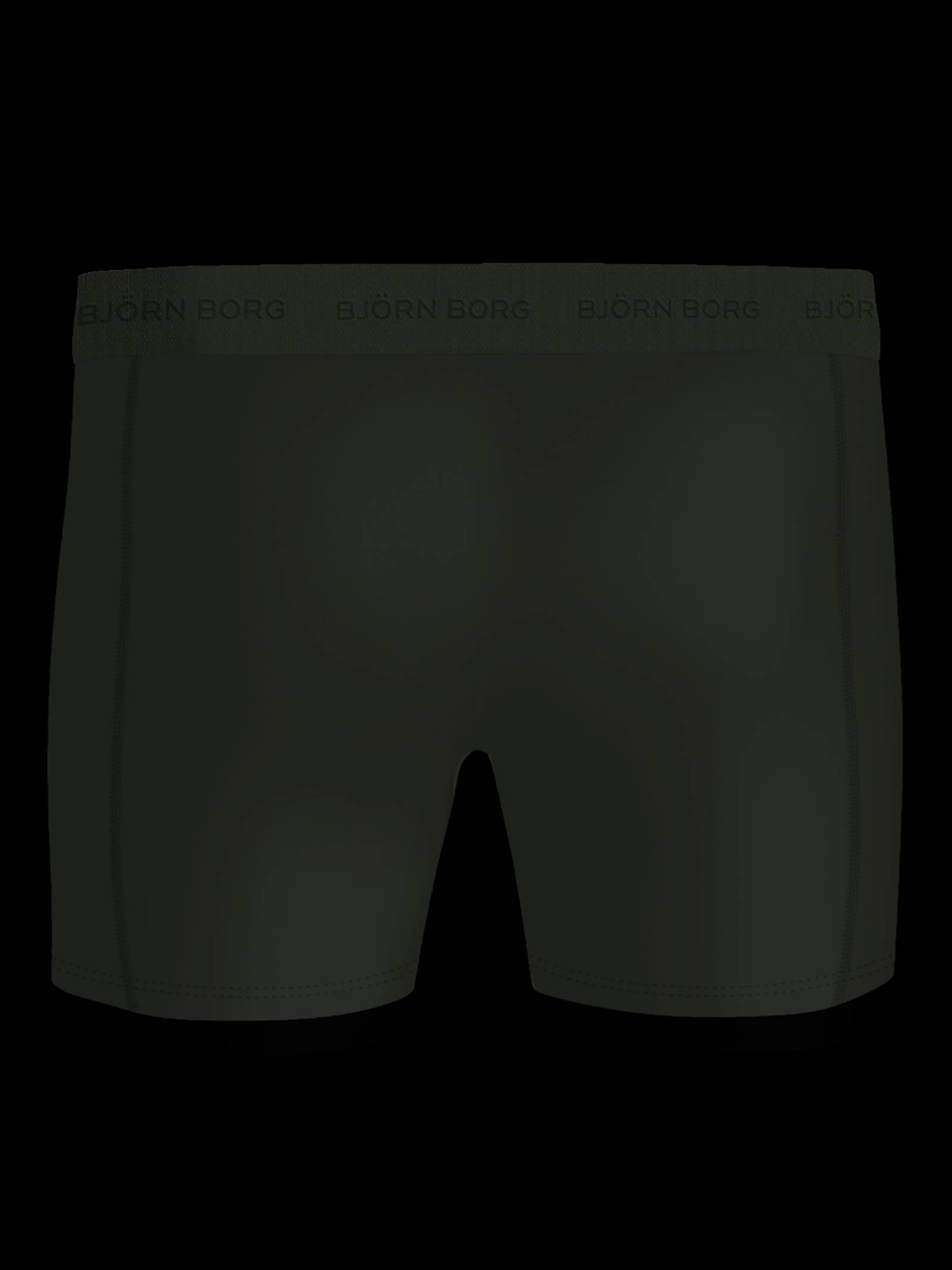 Microfiber Boxers 3-pack image 2