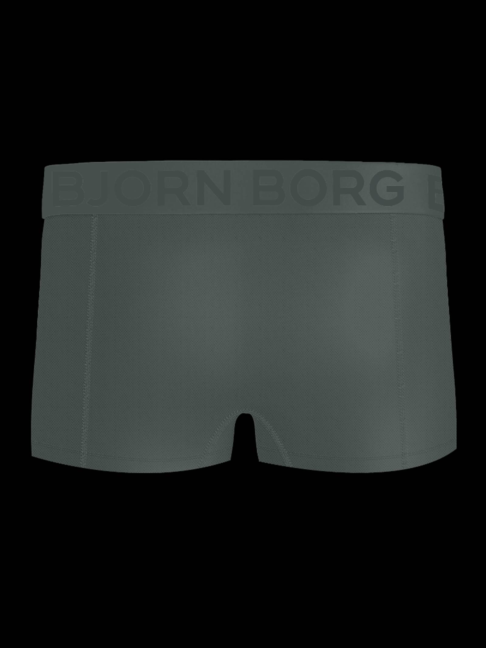 Sports Mesh Trunks 2-pack image 3
