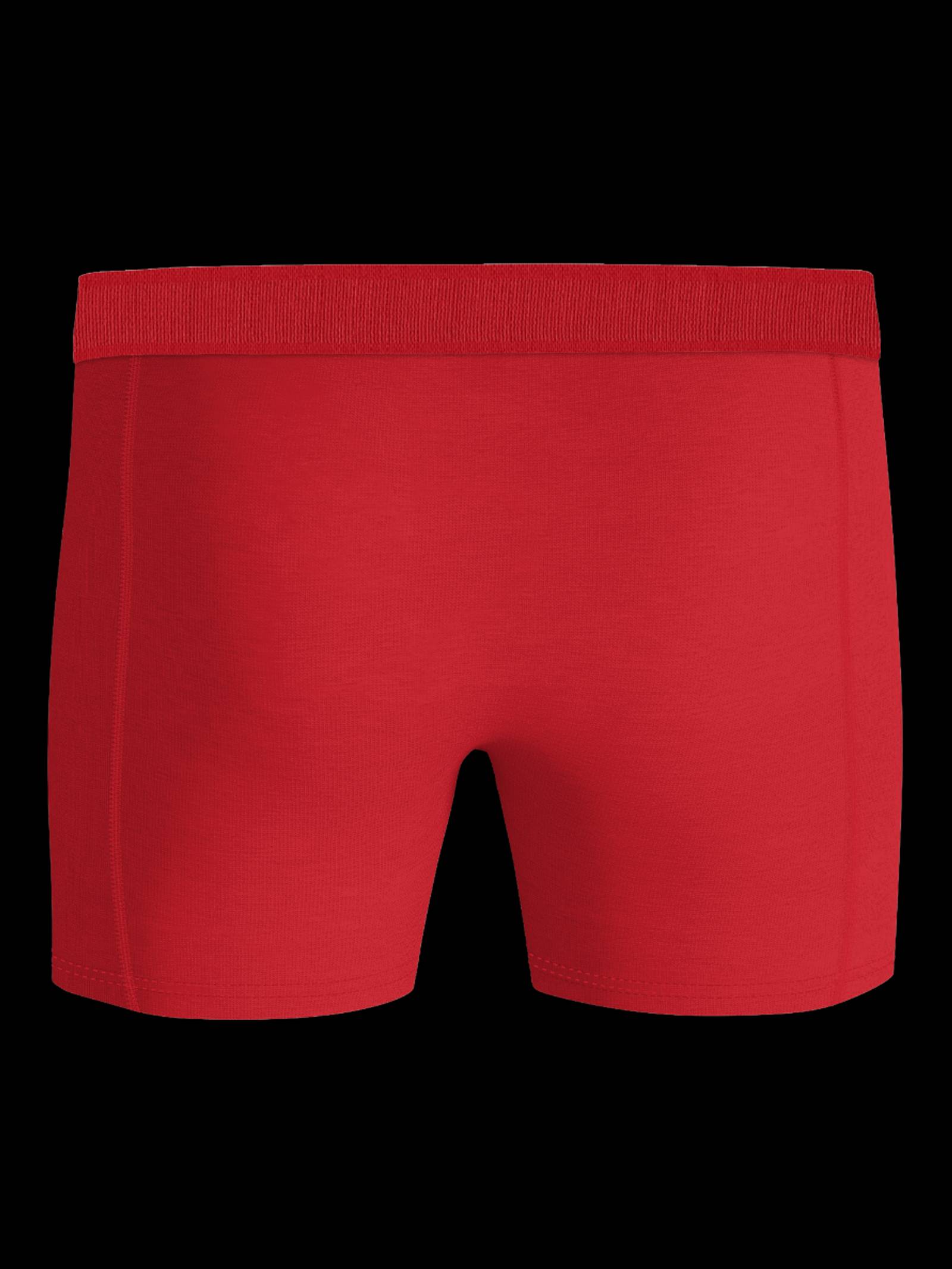 Lyocell Boxers 2-pack image 3