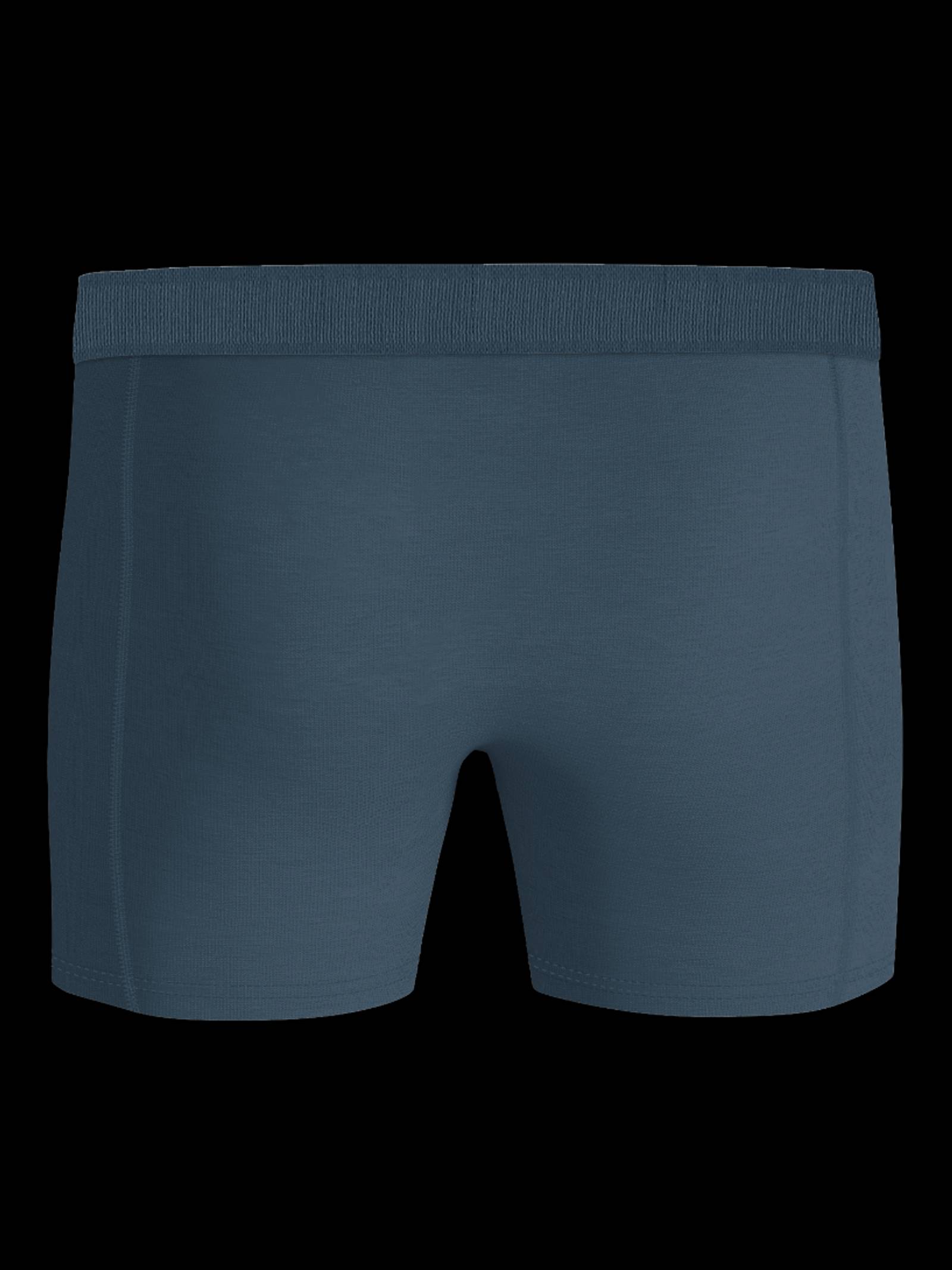 Organic Cotton Stretch Boxers 3-pack image 3