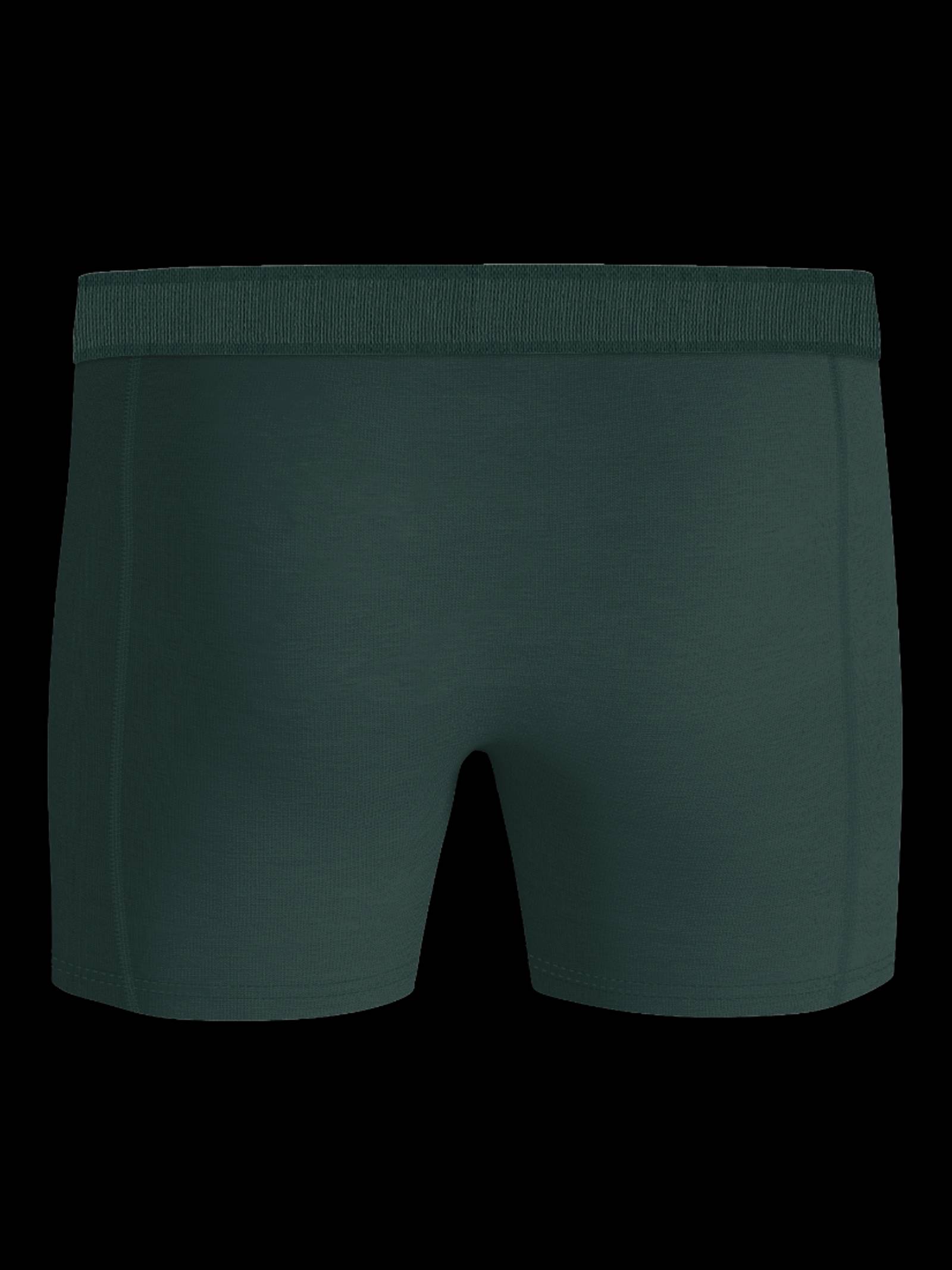 Organic Cotton Stretch Boxers 3-pack image 3