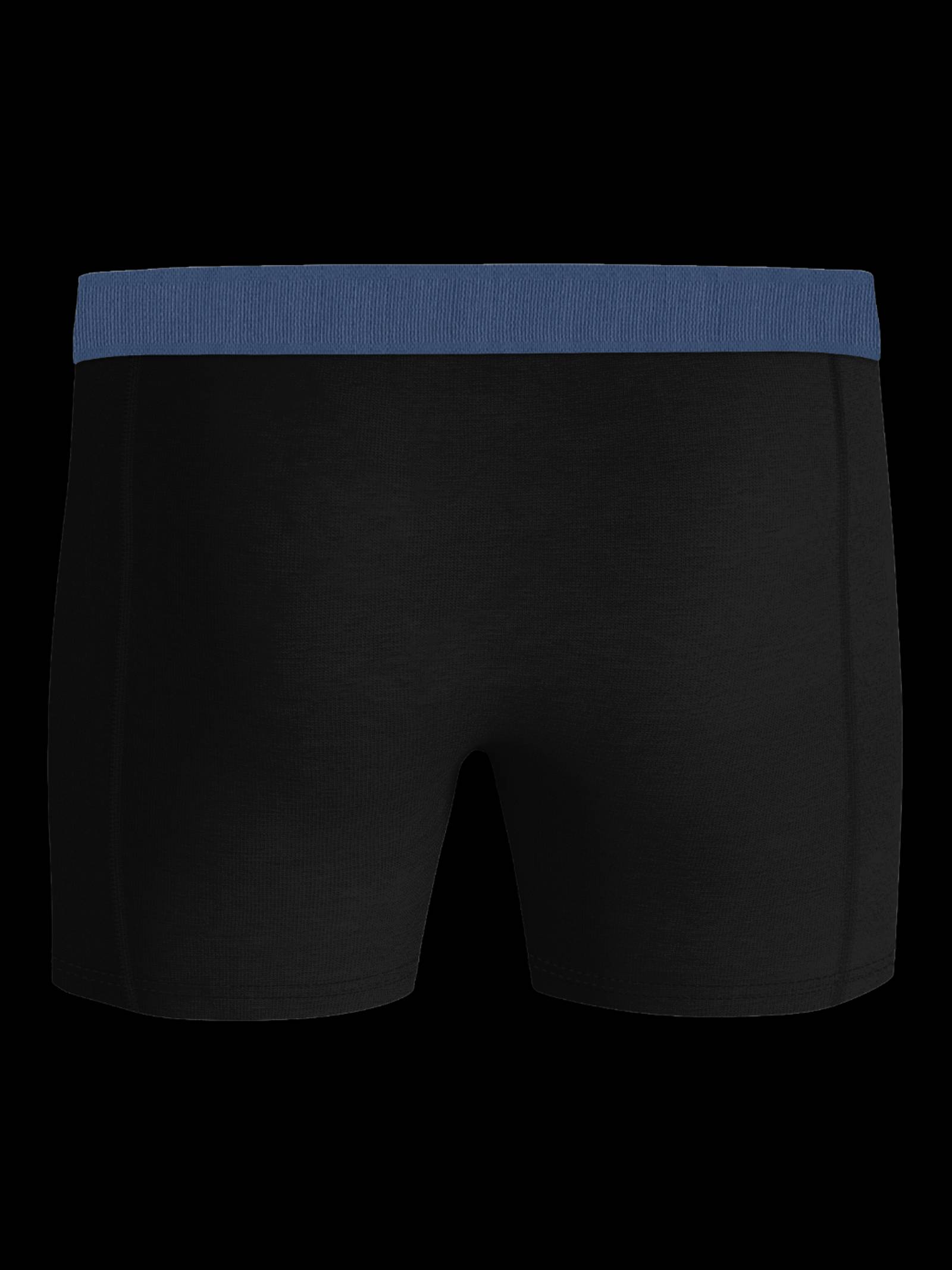 Organic Cotton Stretch Boxers 2-pack image 3