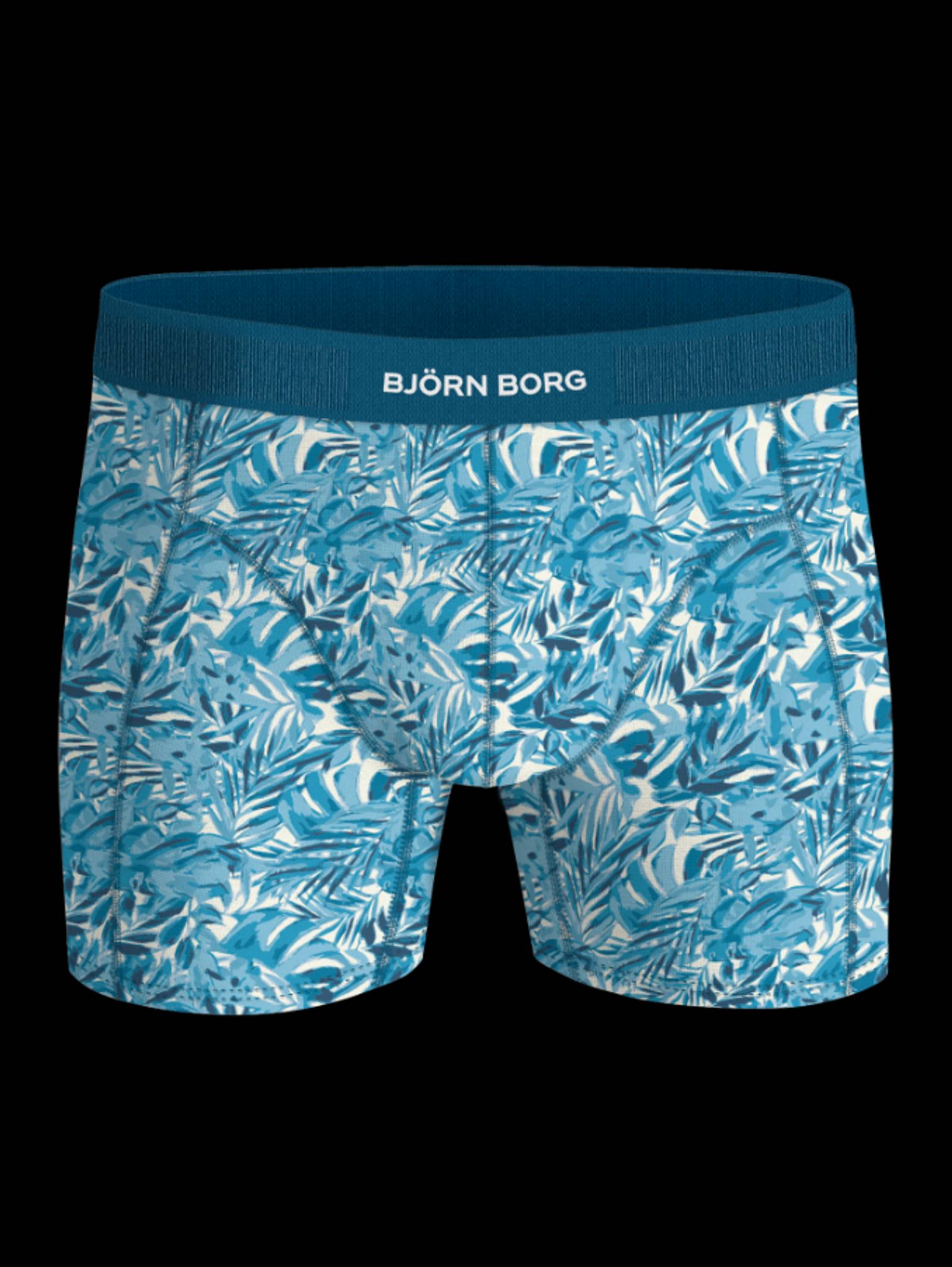 Organic Cotton Stretch Boxers 2-pack image 2