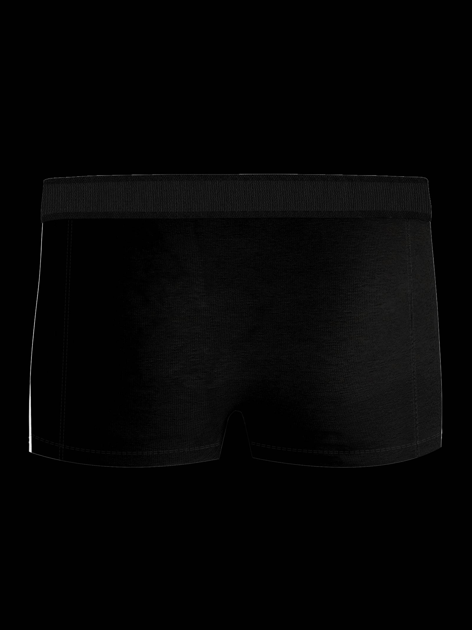 Organic Cotton Stretch Trunks 3-pack image 3