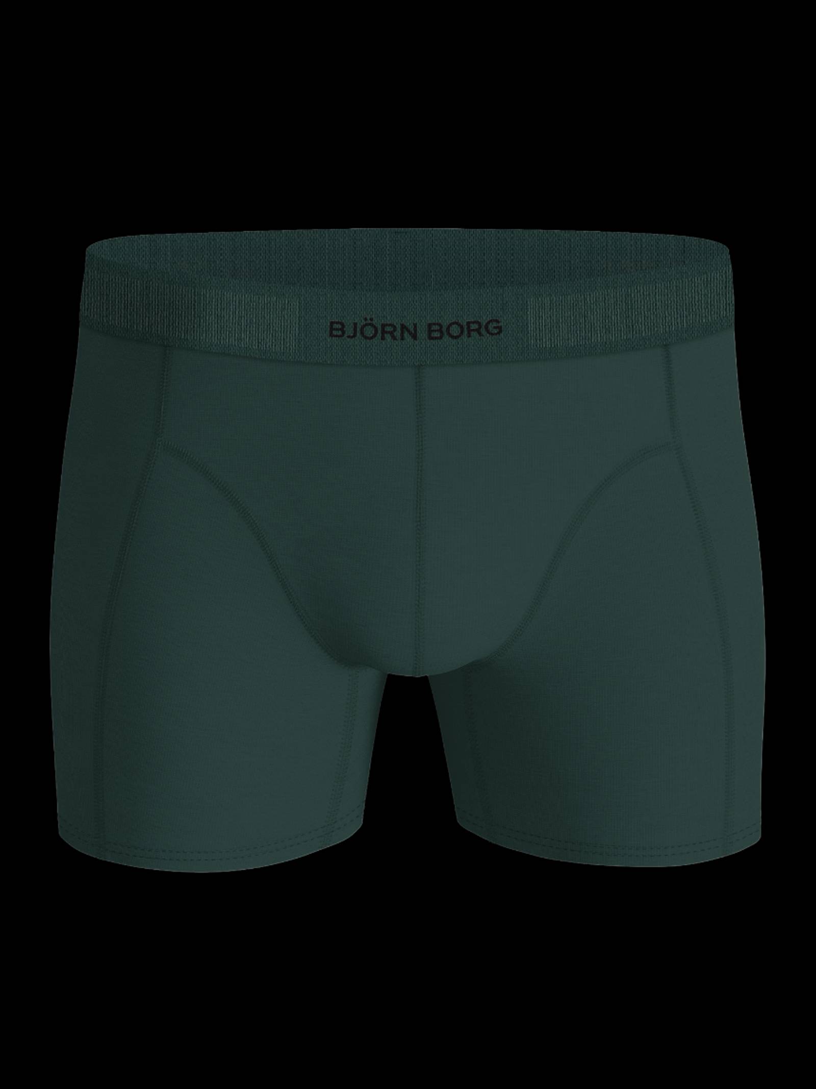Organic Cotton Stretch Boxers 2-pack image 4