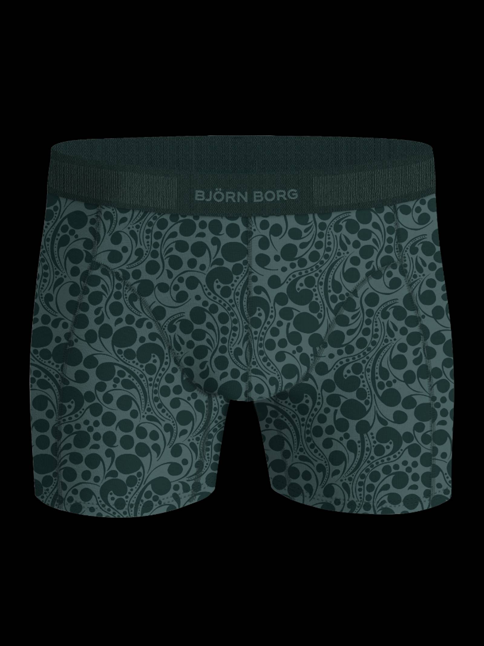 Organic Cotton Stretch Boxers 2-pack image 2
