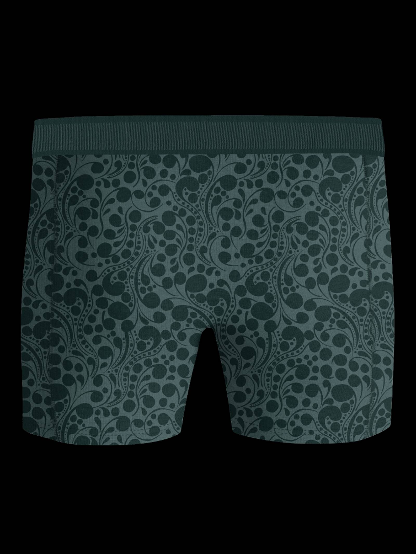 Organic Cotton Stretch Boxers 2-pack image 3