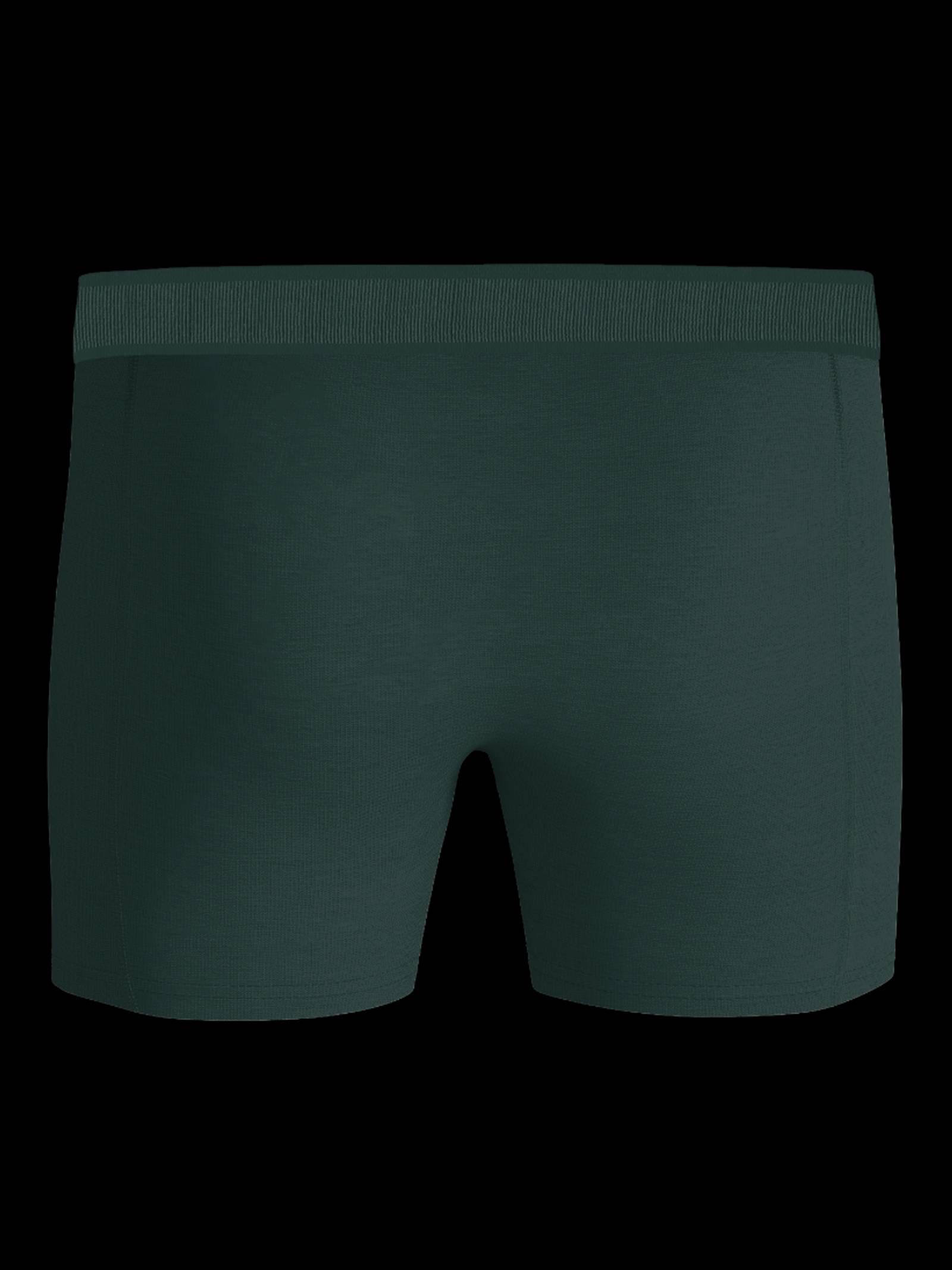 Organic Cotton Stretch Boxers 3-pack image 3