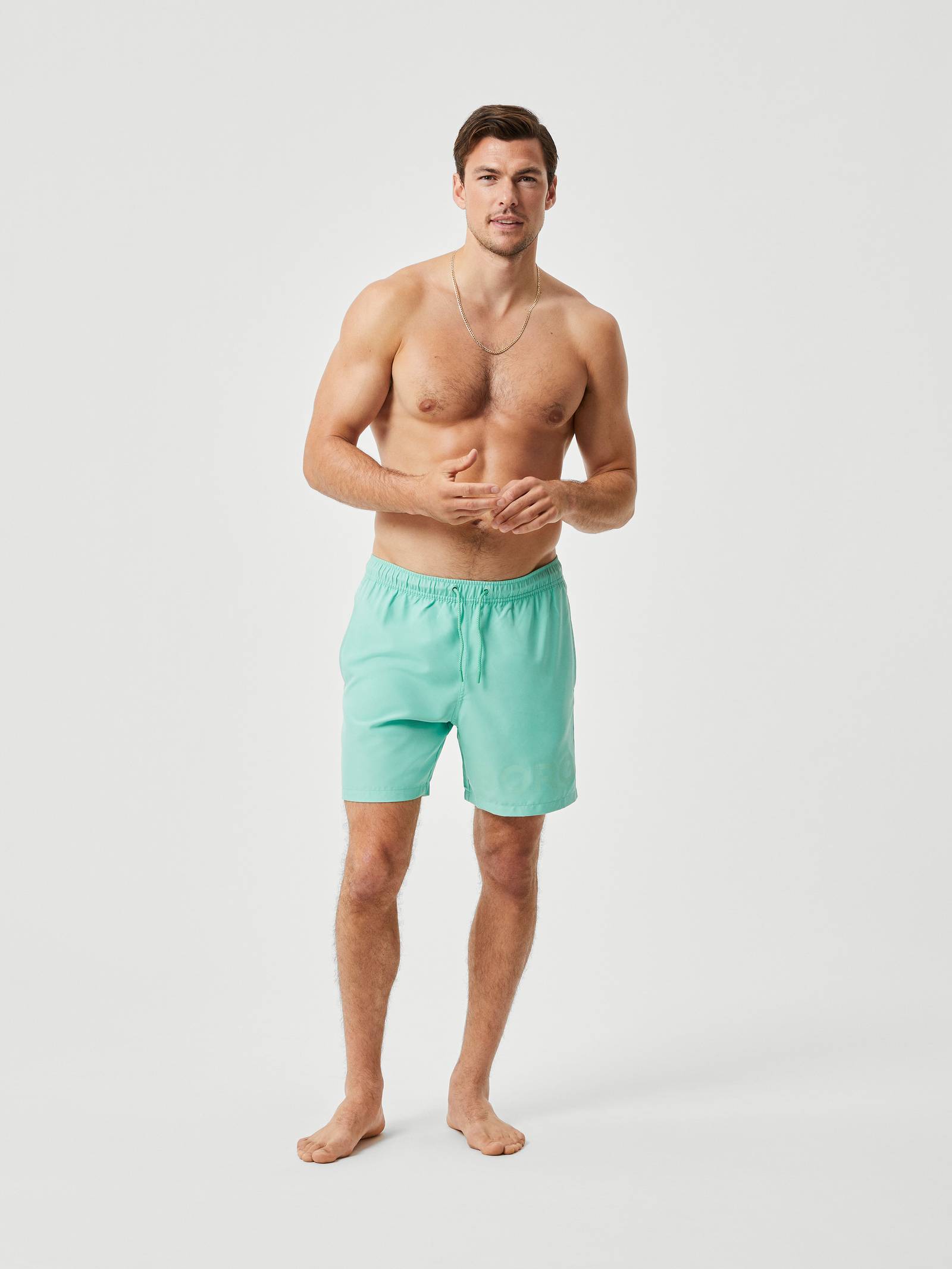 Borg Swim Shorts image 1