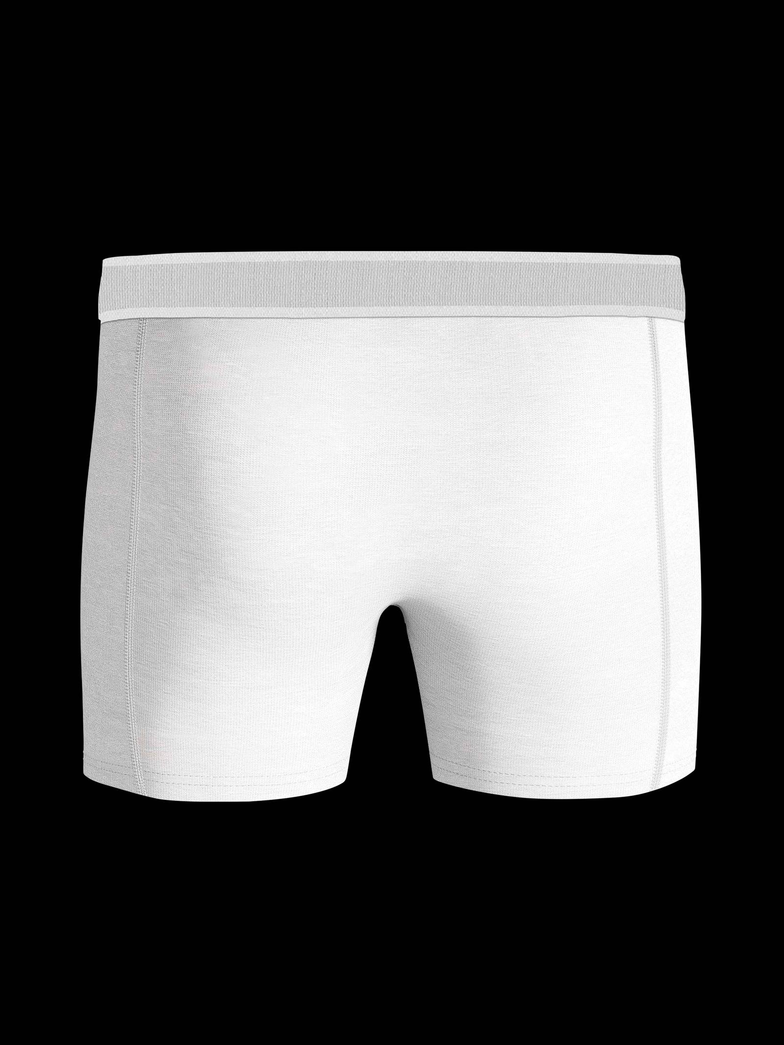 Premium Boxer 1-pack image 6